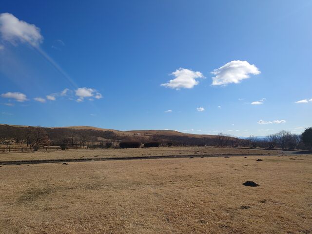 �F�{�����h�S�쏬�����@���̖{���X�g�n�E�X_���̖{���X�g�n�E�X