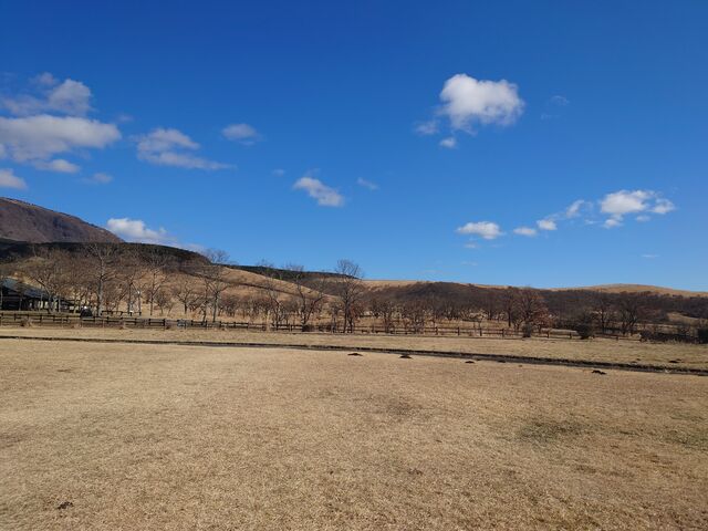 �F�{�����h�S�쏬�����@���̖{���X�g�n�E�X_���̖{���X�g�n�E�X