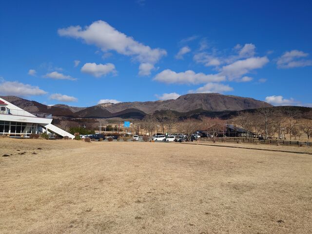 �F�{�����h�S�쏬�����@���̖{���X�g�n�E�X_���̖{���X�g�n�E�X