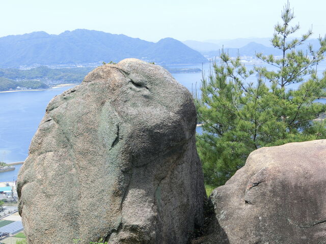 ǁ[݂ĂETMɌuvłB΂ɂ́uv܂B_R