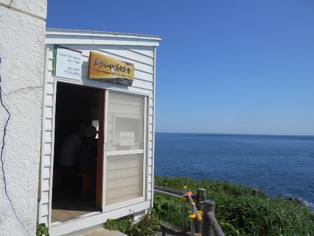 �[���z��