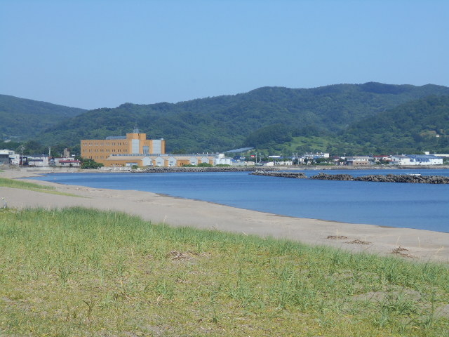 �l���E���C���C������