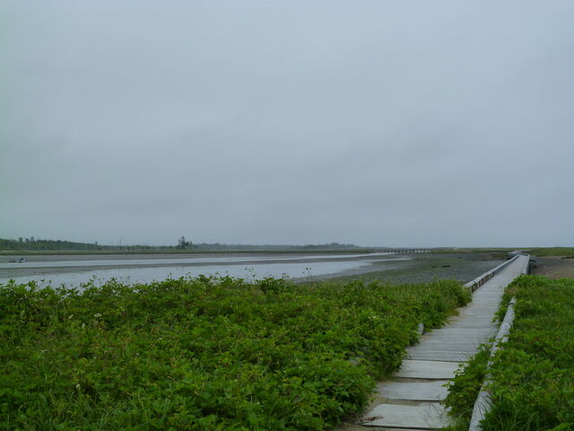 ���̉w �X�����S�S�˂ނ�