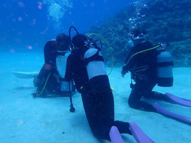 �������A�����߂łƂ�_�_�C�r���O�V���b�vBLUEZONE