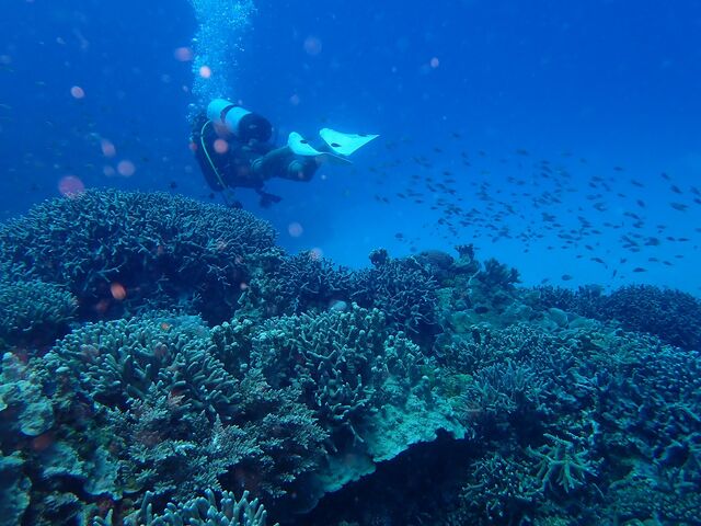 �ʐ^�n���[�V�������Ă܂����A���e�A�T���S�������ł��ˁB_�_�C�r���O�V���b�vBLUEZONE