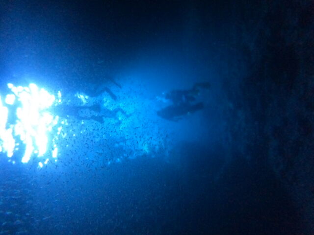 �̓��A_����}�����T�[�r�X��