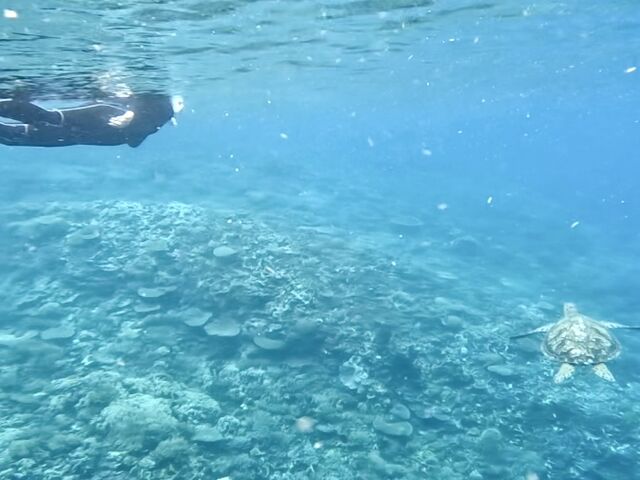 �E�~�K�������Ƃ̖��̎���_�_�C�r���O�T�[�r�X�ɊC