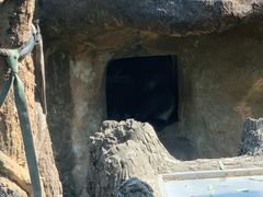 ������񂳂�̏�쓮�����ւ̓��e�ʐ^1