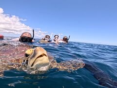 TtSHISHIΊ_ւ̓eʐ^1