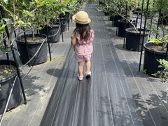 񂳂Blueberry HILLS ւ̓eʐ^1