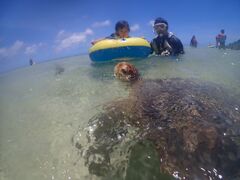 YOTTYnico {Óւ̓eʐ^1