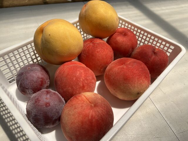 ���͂ǂ����������Â��āA�����ŐH�ׂĂ��܂��܂����B_�n�Ӕ_��