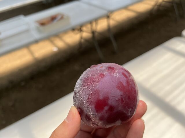 ���������A�Â��Ǝ_�����▭�ŁA�����̂��������ł����B���y�Y�ł��w�����܂����B_�n�Ӕ_��