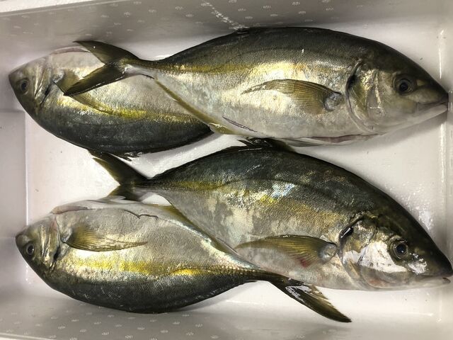 V}AWB̏dۋ҂͎̎O܂œ鈫ȋqłAی{EY݂ł_ԌނxZ^[