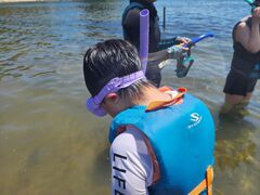 ]mSeafari Japanւ̓eʐ^1