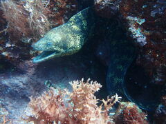 ܁[̈ɓ_CrOXN[ gbcւ̓eʐ^1