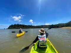 ς񂳂̃I[VubWւ̓eʐ^1