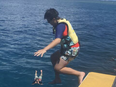 [ǍcǊ(P})C攼cA[X@OPGւ̓eʐ^1