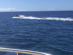 [ǍcǊ(P})C攼cA[X@OPGւ̓eʐ^3