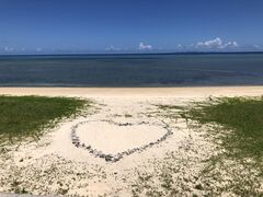 ̂肳̃V[T[̌ qւ̓eʐ^1