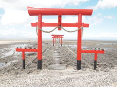 木更津市鳥居崎海浜公園「大鳥居」再建のため、1,000万円の寄付