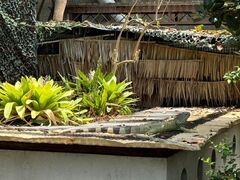 `[t̓Ȗ،Ȃ퐅Vւ̓eʐ^1