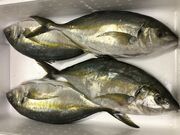 񂳂̖ԌނxZ^[ۂ̓eʐ^2