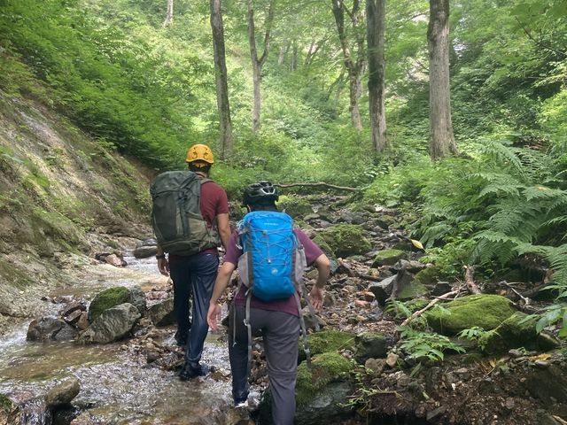 ��������̗l�q_�k�㑃��