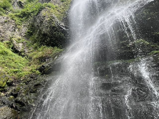 ���̋����Ō�����͈����ł�_�k�㑃��