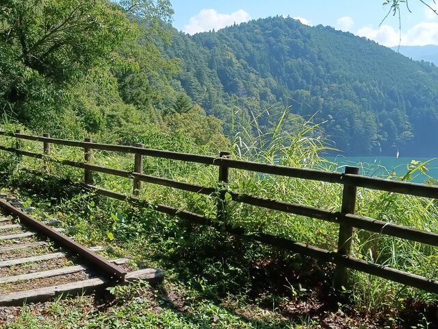 ΂𒭂߂ȂpՂU_ΔȎR