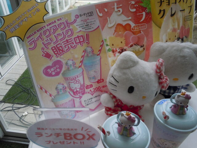 �e�C�N�A�E�g�@�����`�{�b�N�X_HELLO KITTY SMILE