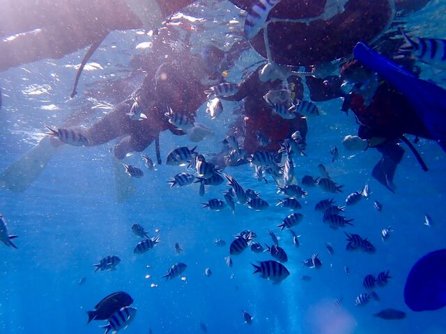 ���͐l��ꂵ�Ă��āA�ߊ���Ă��Ă���܂�_����}�����T�[�r�X�u���[�P�[�u