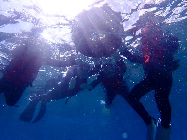 �X�^�[�g���_����̓��A�܂ŕ����ւɂ��܂��Ĉړ����܂�_����}�����T�[�r�X�u���[�P�[�u