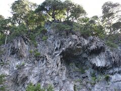 999̃Oh@RIB Tripւ̓eʐ^1