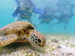 �n���J�����elus�ւ̓��e�ʐ^1