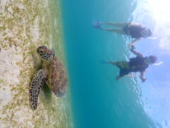 䂢̋{Ó} GB QUESTւ̓eʐ^1