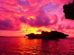 Ђ񂳂̖` ꑍAEghAcA[Xւ̓eʐ^1