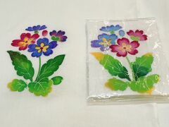 j[΂񂳂̉FTقւ̓eʐ^2