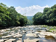 �ɂ�ɂ񂳂�̊֔V����ւ̓��e�ʐ^1