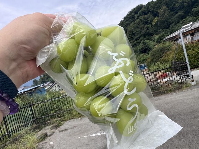 �s�c���ԏ�Ńp�V����_�܂邹���_�� �Ԃǂ����