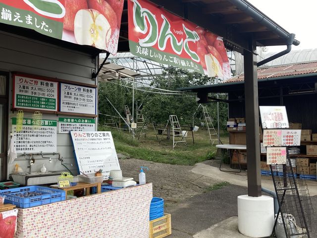 ��Ɍ�����̂��v���[��_��񂲂₳��̑�r�_��