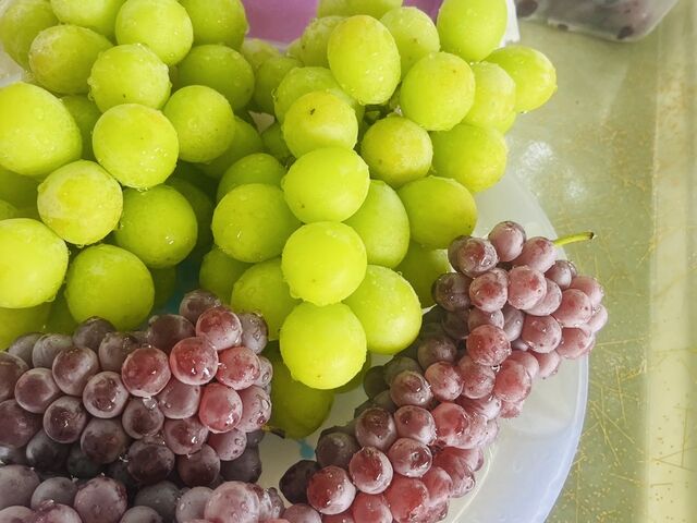 ŏɗ鐷荇킹_O[vK[fS_