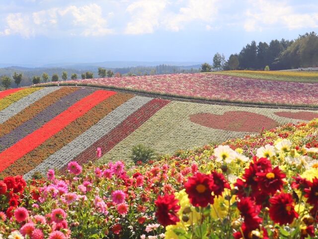 �Y��ł���_�l�G�ʂ̋u