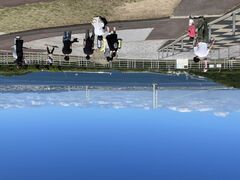 ȂƂ낳̒WHnCEFCIAVXւ̓eʐ^1