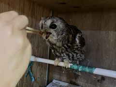 ҂̃ANAtHXg@-̐X-ւ̓eʐ^1