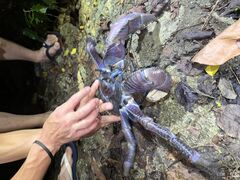 肦肳OCEAN LIFEւ̓eʐ^1