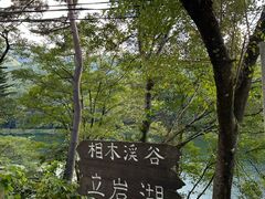 �k�P�Ă郉�C�_�[����̗���΂ւ̓��e�ʐ^1