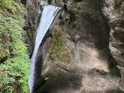 �k�P�Ă郉�C�_�[����̂��݂��̑�̓��e�ʐ^1