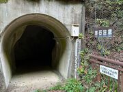 �k�P�Ă郉�C�_�[����̂��݂��̑�̓��e�ʐ^1