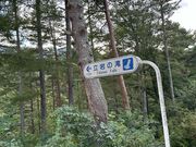 �k�P�Ă郉�C�_�[����̗���̑�̓��e�ʐ^1